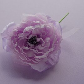 C-4  うす紫のふわふわのバラの画像