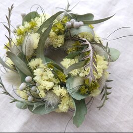 イエローミニリース