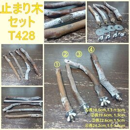 止まり木セット（枝：TOY-08-015）T428