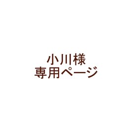 追加料金分専用ページの画像