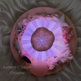 lumiere L’oursin ルミエールルウサン　II