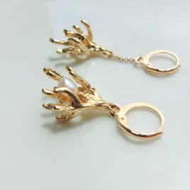 Calypsoの画像