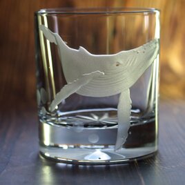 ロックグラス「ザトウクジラ遊泳」の画像
