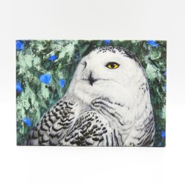 絵画パネル 「森の隠者」白フクロウ A5サイズ 全面ニス塗装
