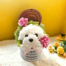 花の犬【ホワイト】プリザーブドフラワー　カーネーション 動物　ペット　犬　花　母の日 誕生日 お供えの画像