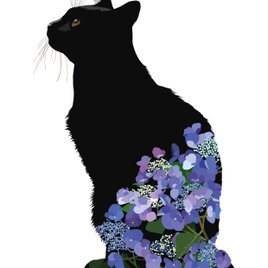 083_黒猫紫陽花イラストプリント_A4プリント