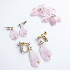 デルフィニウム　イヤリング（ピアス）✳︎生花のアクセサリー