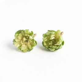 グリーンローズ　イヤリング✳︎生花のアクセサリーの画像