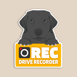 車内/車外の2wayで使えるマグネット式ドラレコカーサイン(ラブラドールレトリーバー)