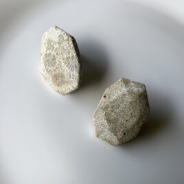 SALEフォッシルコーラルのチタンピアス