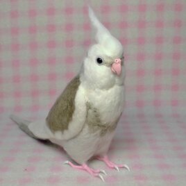 ライフサイズ♪ オカメインコ ★WFパイド ホワイトフェイス 羊毛フェルト リアル オーダーメイド 受注製作　羊毛インコの画像