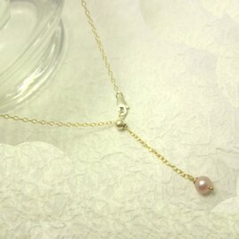 ﾍﾟﾝﾀﾞﾝﾄ　淡水ﾊﾟｰﾙ（ﾊﾟｰﾌﾟﾙ)