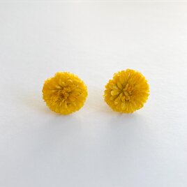 ポンポンマム　ピアス 生花のアクセサリーの画像