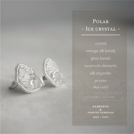 【耳飾り】Polar - Ice crystal -の画像