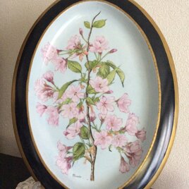 さくらの絵皿の画像