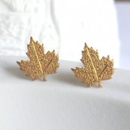 メイプルリーフ