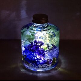 『星屑の森』プリザーブドフラワーとクリスタルのメルヘンハーバリウムライトの画像