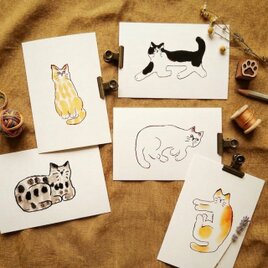 猫のポストカード 5枚セット　・絵葉書・イラスト・メッセージカード・送料無料
