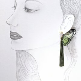 蝶のピアス（大）モルフォの画像