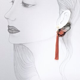 蝶のピアス（大）マダラ系の画像