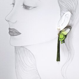 蝶のピアス（大）アゲハの画像
