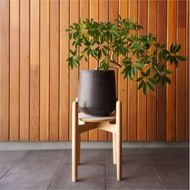 Plant Stand  ’float’　ビーチ材　プランタースタンド　フラワースタンド　花台の画像