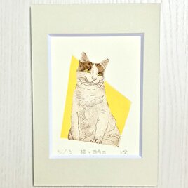猫×四角Ⅲ／紙版画・ステンシル（作品のみ）の画像