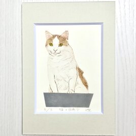 猫×四角Ⅴ／紙版画・ステンシル（作品のみ）の画像