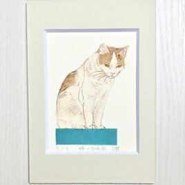 猫×四角Ⅶ／紙版画・ステンシル（作品のみ）の画像