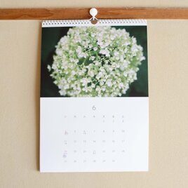季節の壁掛けカレンダー2023の画像