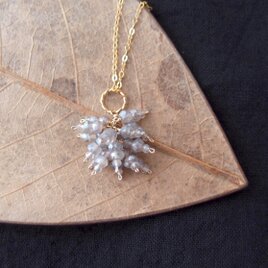 【K14gf・受注制作】Coated Labradorite（ネックレス・ピアス・イヤリング対応）