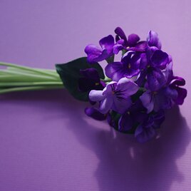 小さなスミレの花束 | iichi 日々の暮らしを心地よくするハンドメイド