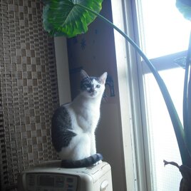 ｎ様専用ページ