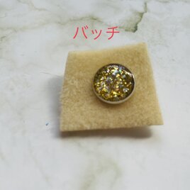 f215 レジンバッチ