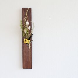 【春限定】Wall flower　　　Black Walnut　Spring　　yellowの画像