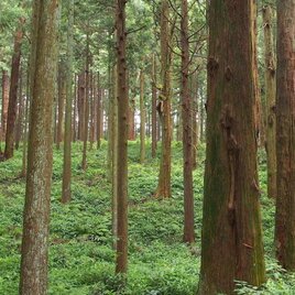 大切にしていること①：ヒビ割れについて（ご購入を検討されている方へ）の画像