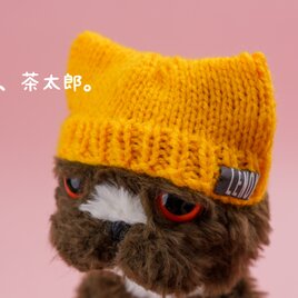 癒されネコのあみぐるみ・エキゾチックショートヘアの茶太郎の画像