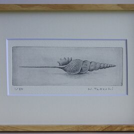貝殻・2023A/銅版画 (額あり）