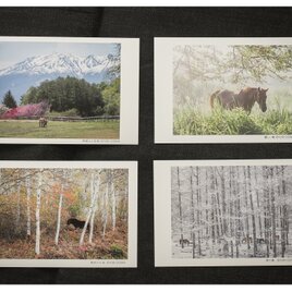 木曽馬ポストカード　4枚組セットの画像