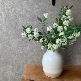 掛分け花瓶（白白/大）の画像