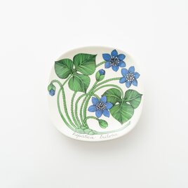 Botanica｜05｜ミスミソウ / Hepatica trilobaの画像