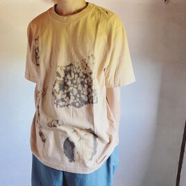 Sololi men's S　softの画像