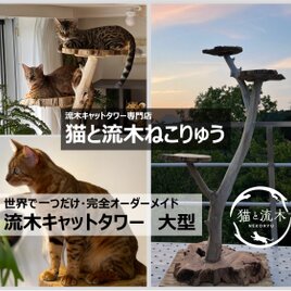 【猫と流木ねこりゅう】完全オーダーメイド　流木キャットタワー　大型タイプの画像