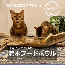 世界に一つだけ　流木フードボウル　えさ皿（シングル）【猫と流木ねこりゅう】の画像
