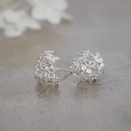 紫陽花のピアス(silver)の画像