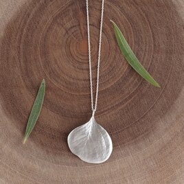 Eucalyptus round leaf necklace [P098SV]の画像
