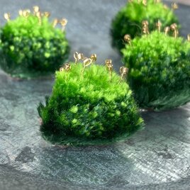 苔の刺繍ブローチ　安全ピンタイプ