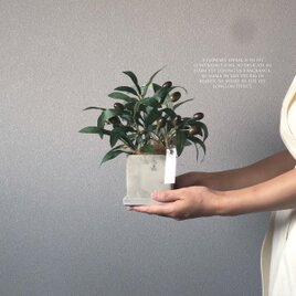 【室内用オリーブ】フェイクグリーン  観葉植物 造花 インテリアグリーンの画像