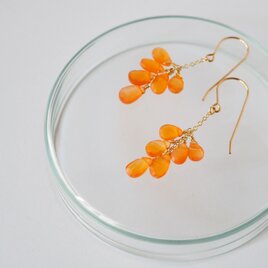 カーネリアンピアス / 送料無料 / 14KGF