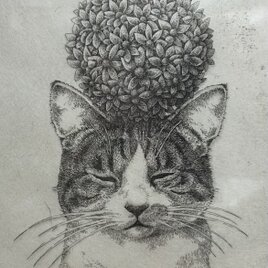 猫　銅版画　額入りの画像